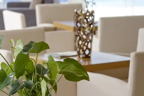 Aegean Dream Hotel in Karfas, foto 13