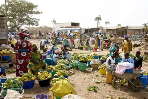 Rondreis Avontuurlijk Gambia & Senegal in Sneek — foto 21