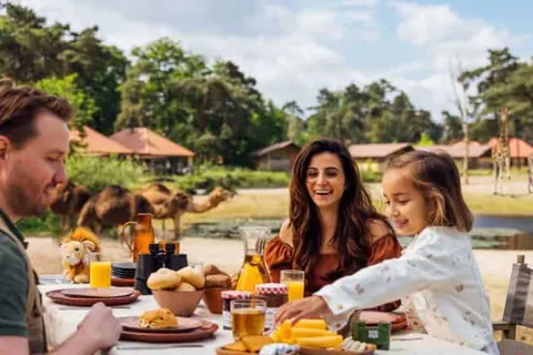 Safari Resort Beekse Bergen foto 2