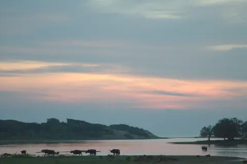 Hilton Yala Resort in yala, foto 5