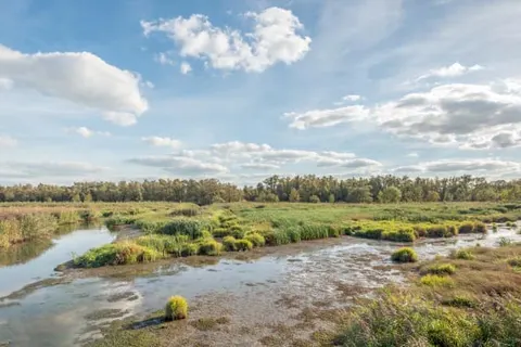 Postillion Hotel Dordrecht foto 17