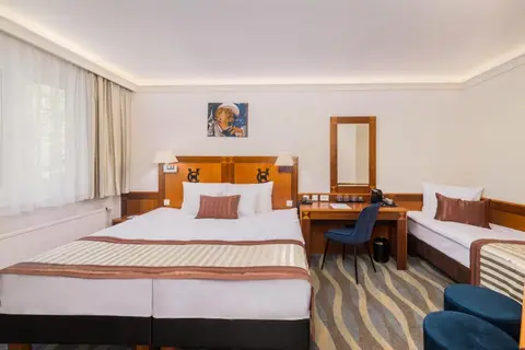 Carlton Hotel Buda Castle in Boedapest, foto 24