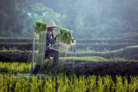 Nostalgisch Indonesië foto 1