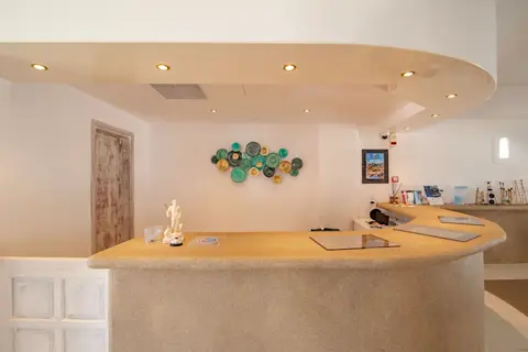 Poseidon Blue Gastronomy Hotel in Afiartis, foto 13
