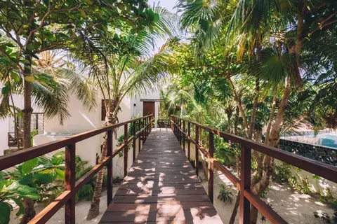 Chiringuito Tulum in Cancún — foto 30