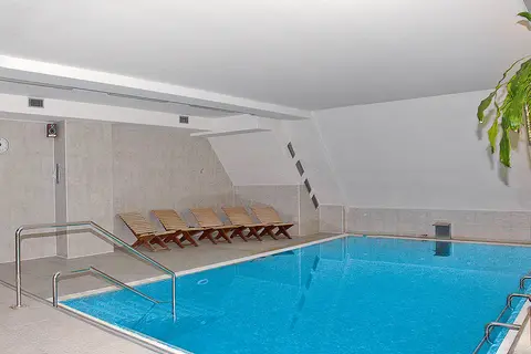 Harrachovka Spa & Wellness in Elsene, foto 4