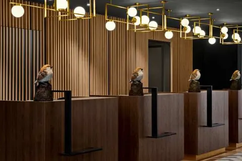 Renaissance Amsterdam Schiphol Airport Hotel foto 2