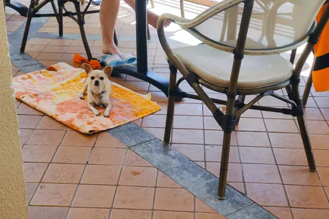 Eurocamping Calvisio foto 33