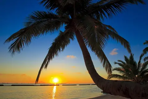 Kurumba Maldives in Vihamanaafushi, foto 21