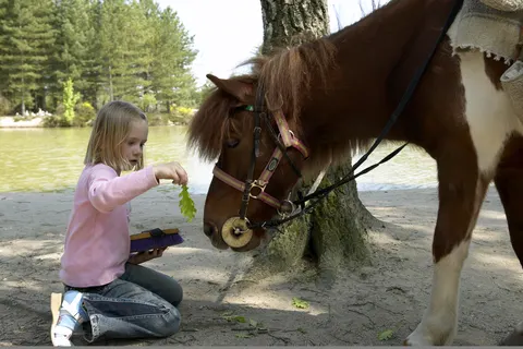 Les Hauts De Bruyères foto 17