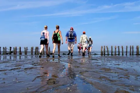 Hotel Waddengenot in Pieterburen — foto 32