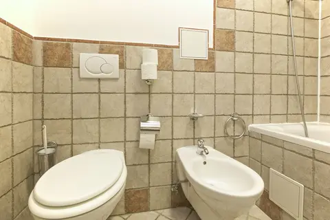 Hotel Tivoli in Praag, foto 14