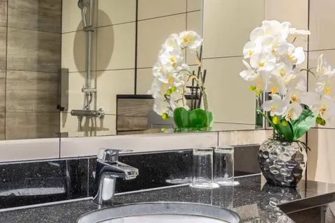 Plaza Premium Grand Winston Rijswijk foto 4