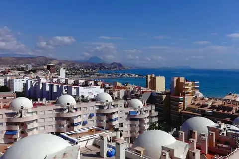 La Familia Gallo Rojo in el Campello — foto 17