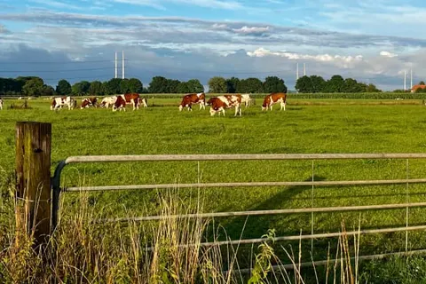 Boetiek Hotel De Roode Leeuw foto 25