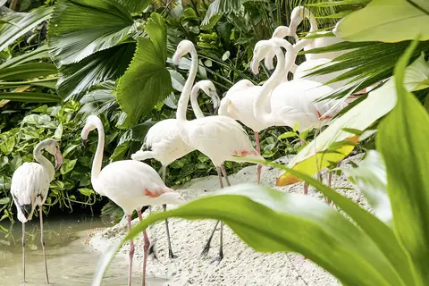 Tropical Islands Ferienhäuser in Krausnick, foto 4