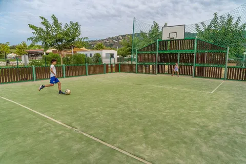 El Delfin Verde Platja Daro foto 13