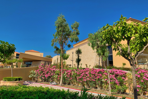 Hotel Apollonion Asterias Resort & Spa foto 9