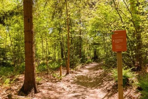 Summio Buitenplaats de Marke van Ruinen foto 14