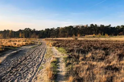 Gr8 Hotel Breda foto 22