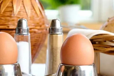 Landhotel Zum Storchennest foto 14