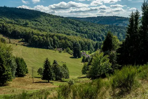 Camping La Forêt in Bœrsch — foto 11