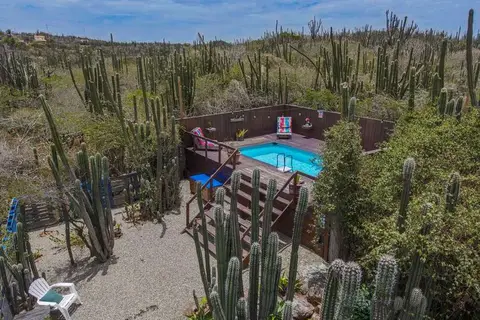 Mammaloe's in Santa Cruz — foto 13