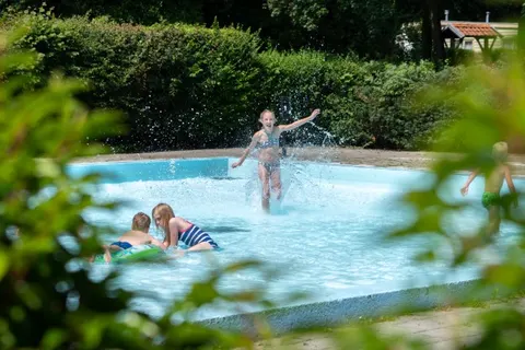 Camping De Vogel foto 24