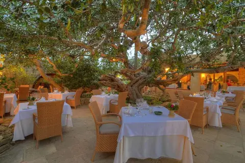 Hotel Ta' Cenc & Spa in Ta' Sannat — foto 6