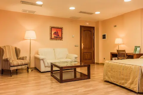 Sercotel Guadiana in Ciudad Real — foto 17
