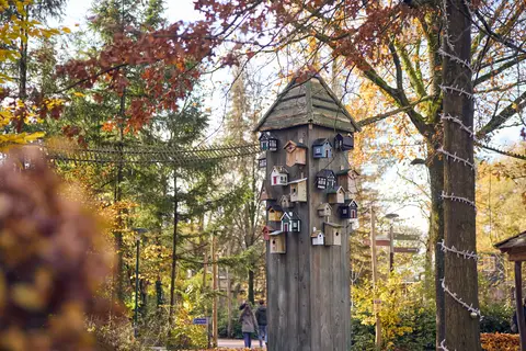 Center Parcs Erperheide in Peer — foto 7