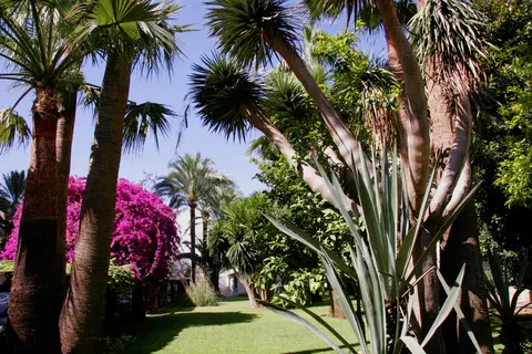 Hotel - Appartementen Bajondillo in Torremolinos — foto 19