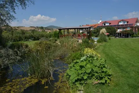 Oaza Inn in Охрид — foto 14