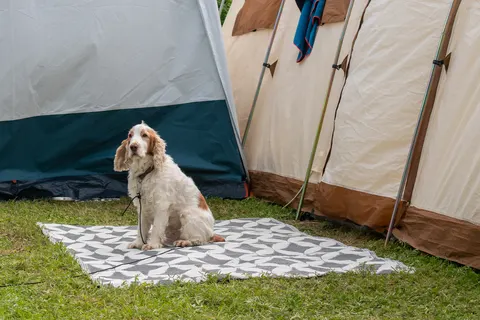 Flower Camping Le Port De La Chaine foto 20