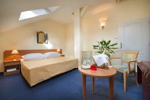 EA Hotel Tosca in Praag, foto 7