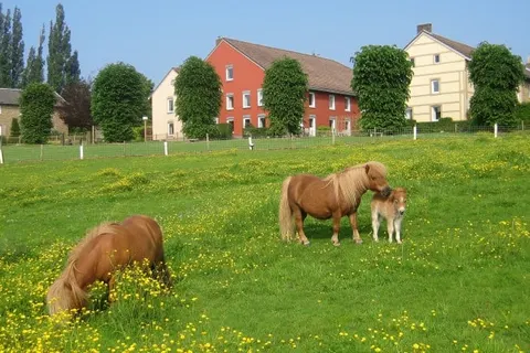 Bungalowpark Landsrade foto 2