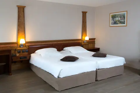 Hôtel de l'Europe by HappyCulture in Straatsburg, foto 28