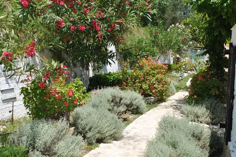Helios Splendid in Δημοτική Ενότητα Κορισσίων — foto 28