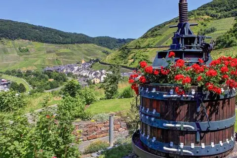 Hotel Garni Moselterrasse foto 20