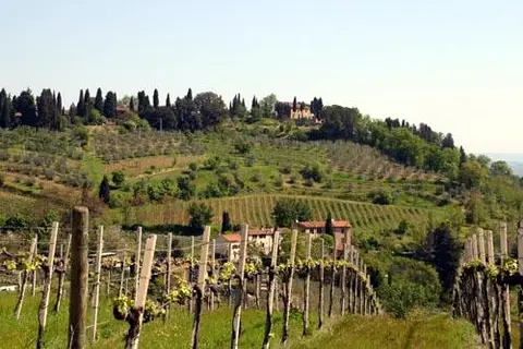 Camping Ii Boschetto Di Piemma in San Gimignano — foto 24