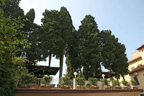 Hotel Bologna Pisa in Pisa — foto 6