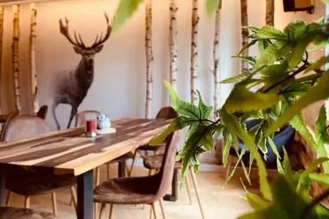 Hotel Harzresidenz in Thale — foto 9