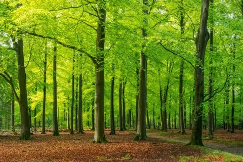 Hotel De Hoeve van Nunspeet foto 33