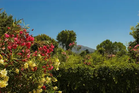 Nireas Resort Corfu in Αχαράβη — foto 22