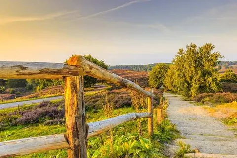 Hotel-Restaurant Nol in &ampapos;t Bosch foto 15