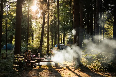 Forest Camping Mozirje in Mozirje — foto 21