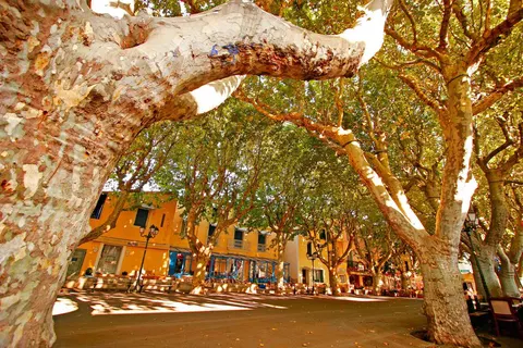 Camping Mas Des Lavandes foto 24