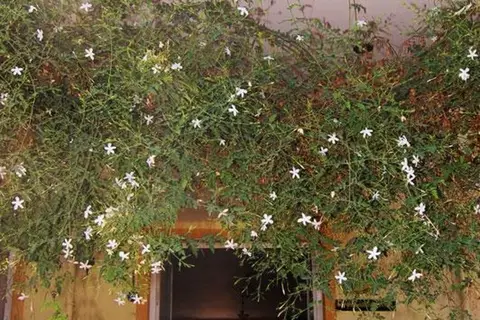 Hotel Metin in Ortaca