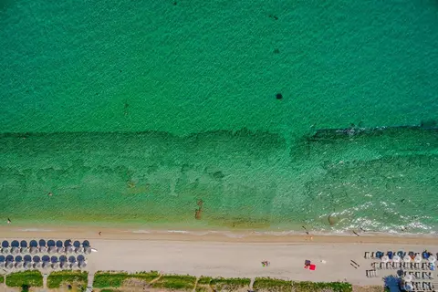 Flegra Palace Hotel in Πευκοχώρι — foto 30