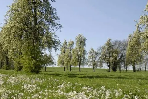 Hotel Blanckthys foto 14